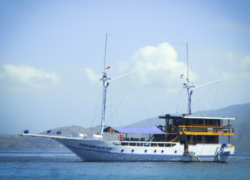 Dream Ocean by Dream Bay Cruise