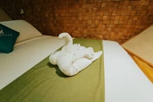 Cordelia-Phinisi_Komodo-Liveaboard-Phinisi_Sharing-Cabin_06