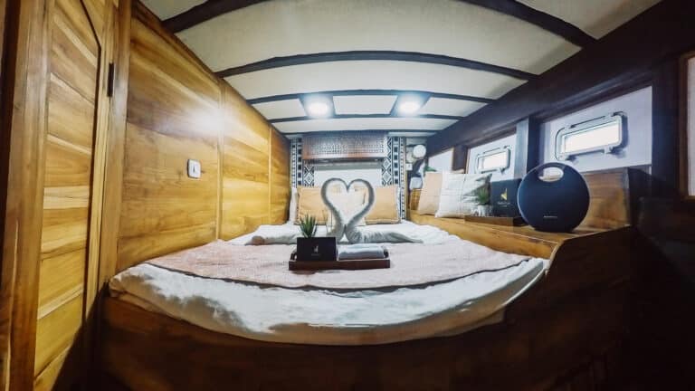 IMG_20250304_171113_00_032.insp