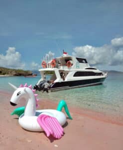 Ocean-Queen_Speedboat-Komodo_Highlight_02
